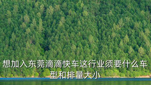 想加入東莞滴滴快車這行業(yè)須要什么車型和排量大小