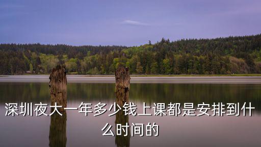 深圳讀大學(xué)一年多少錢一次，在深圳大學(xué)就讀一年要用多少錢加學(xué)費(fèi)的