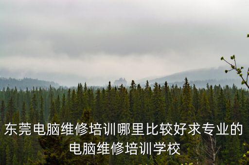 東莞電腦維修培訓(xùn)哪里比較好求專業(yè)的電腦維修培訓(xùn)學(xué)校