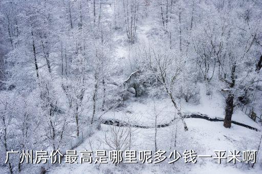 廣州房價最高是哪里呢多少錢一平米啊