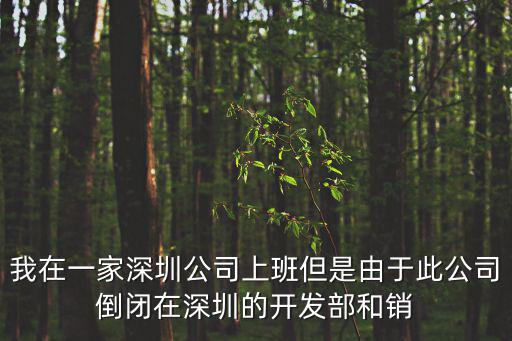 我在一家深圳公司上班但是由于此公司倒閉在深圳的開發部和銷