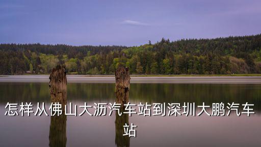 怎樣從佛山大瀝汽車站到深圳大鵬汽車站