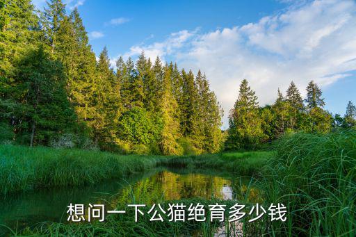 想問一下公貓絕育多少錢