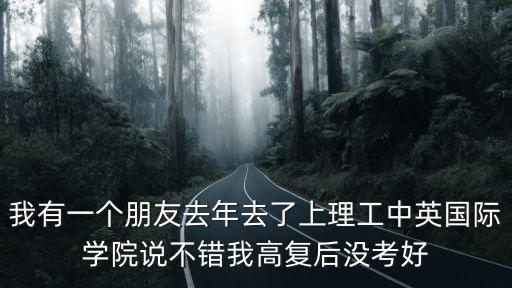 我有一個朋友去年去了上理工中英國際學院說不錯我高復后沒考好