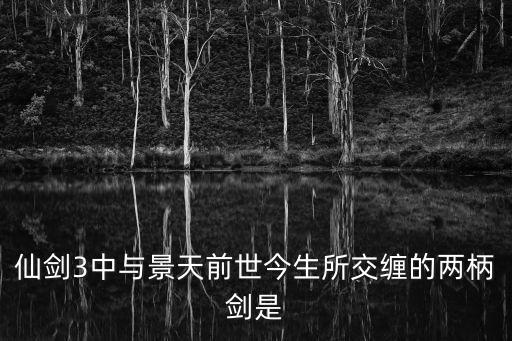仙劍3中與景天前世今生所交纏的兩柄劍是