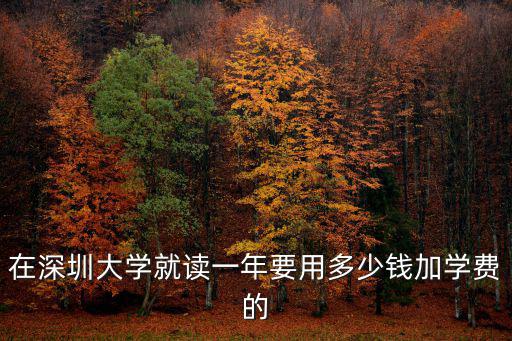在深圳大學就讀一年要用多少錢加學費的