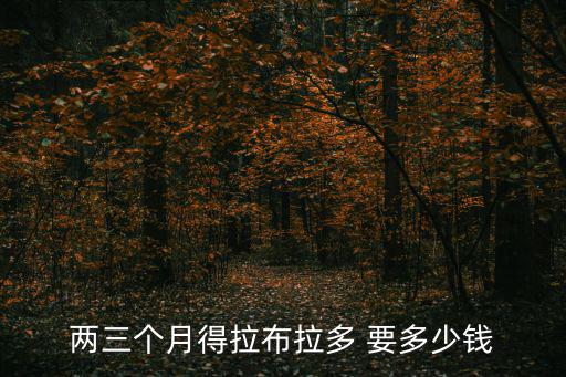 倆個月拉布拉多多少錢，倆三個月拉布拉多犬多少錢