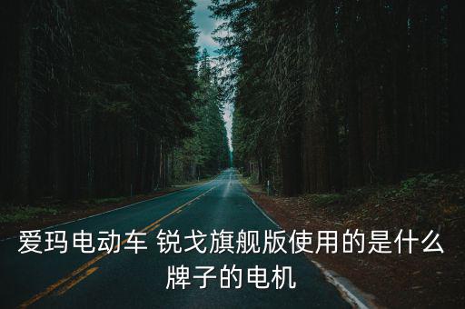 愛瑪電動車 銳戈旗艦版使用的是什么牌子的電機