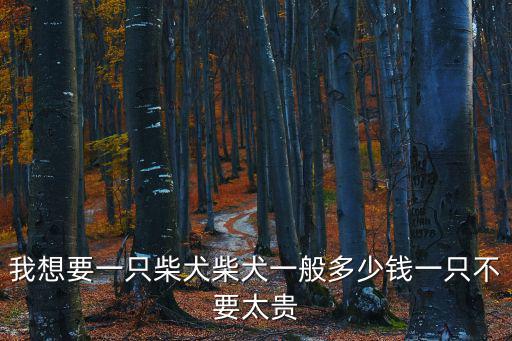 我想要一只柴犬柴犬一般多少錢一只不要太貴