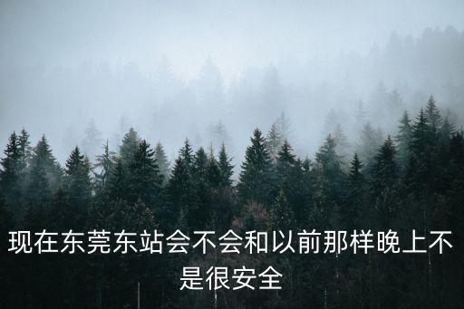 現(xiàn)在東莞東站會(huì)不會(huì)和以前那樣晚上不是很安全