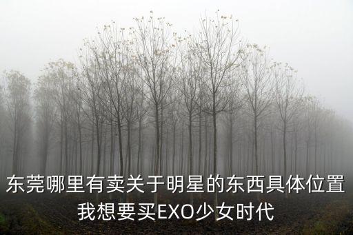東莞哪里有賣關于明星的東西具體位置我想要買EXO少女時代