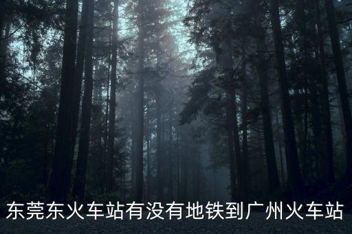 東莞東站有沒有地鐵，東莞火車站有地鐵嗎