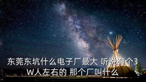 東莞東坑龍泉電子廠，東莞東坑什么電子廠最大 聽說有個3W人左右的 那個廠叫什么