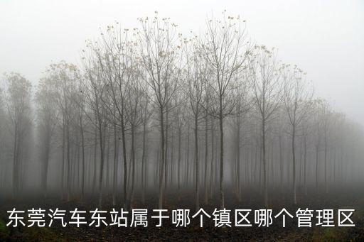 東莞汽車東站屬于哪個鎮區哪個管理區