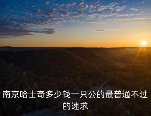 南京哈士奇多少錢，南京夫子廟一只普通的哈士奇要多少錢普通的就好