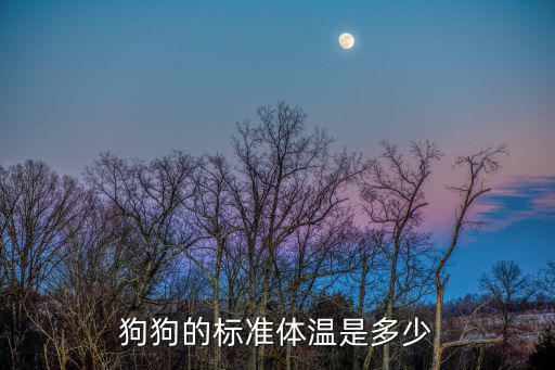 狗狗的腋下溫度是多少算正常值，狗的正常體溫是多少