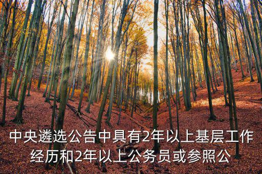 中央遴選公告中具有2年以上基層工作經歷和2年以上公務員或參照公
