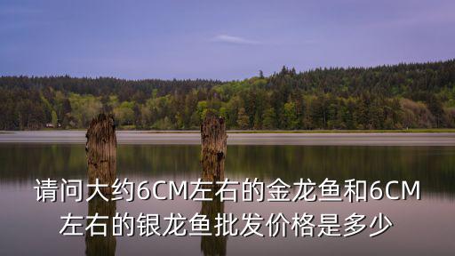 請問大約6CM左右的金龍魚和6CM左右的銀龍魚批發價格是多少