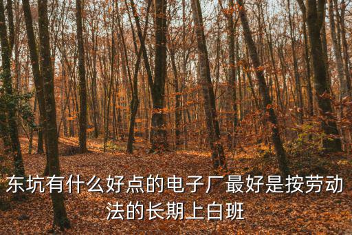 東莞東坑坑美電子廠，東莞東坑最大的電子廠叫什么