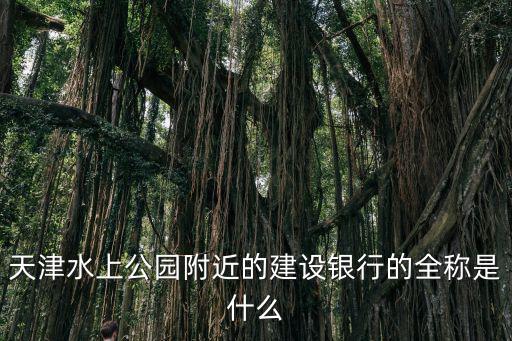 天津水上公園附近的建設銀行的全稱是什么