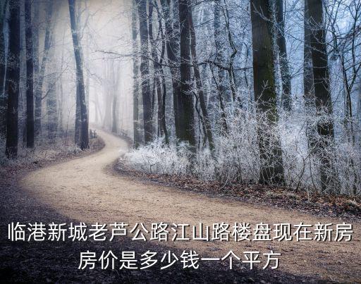 臨港新城老蘆公路江山路樓盤現在新房房價是多少錢一個平方