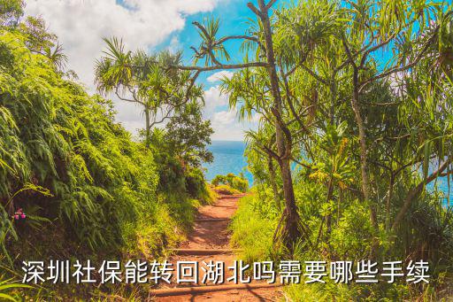 深圳社保能轉(zhuǎn)回湖北嗎需要哪些手續(xù)
