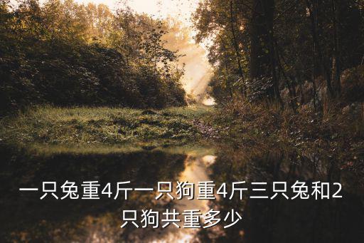 一只兔重4斤一只狗重4斤三只兔和2只狗共重多少