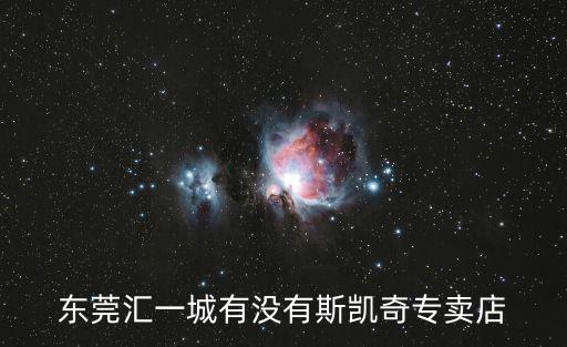 東莞匯一城有沒有斯凱奇專賣店