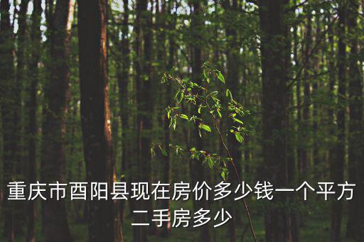 重慶市酉陽縣現在房價多少錢一個平方二手房多少