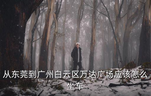 從東莞到廣州白云區萬達廣場應該怎么坐車