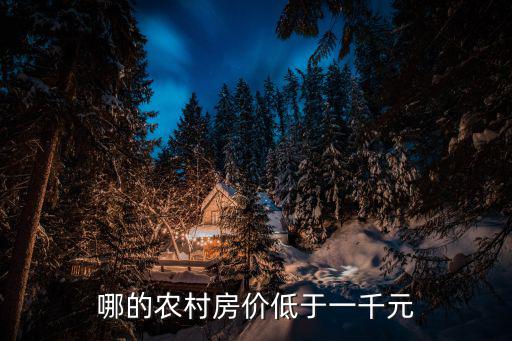 哪的農(nóng)村房?jī)r(jià)低于一千元