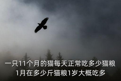 一只11個月的貓每天正常吃多少貓糧1月在多少斤貓糧1歲大概吃多
