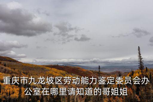 重慶市九龍坡區(qū)勞動(dòng)能力鑒定委員會(huì)辦公室在哪里請(qǐng)知道的哥姐姐