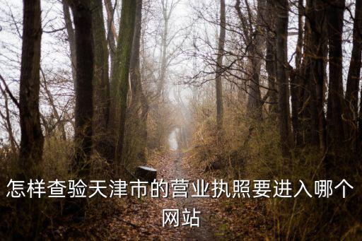 怎樣查驗天津市的營業執照要進入哪個網站