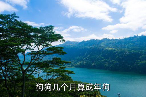 狗狗幾個月算成年狗