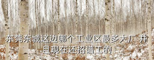 東莞東城這邊哪個工業區最多大廠 并且現在還招譜工的