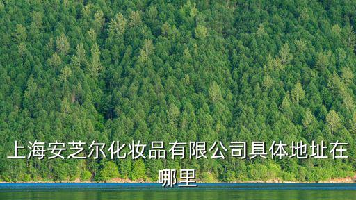 上海安芝爾化妝品有限公司具體地址在哪里