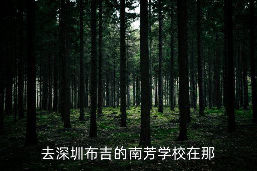 去深圳布吉的南芳學(xué)校在那