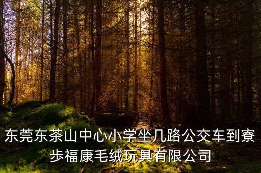 東莞東茶山中心小學坐幾路公交車到寮歩福康毛絨玩具有限公司