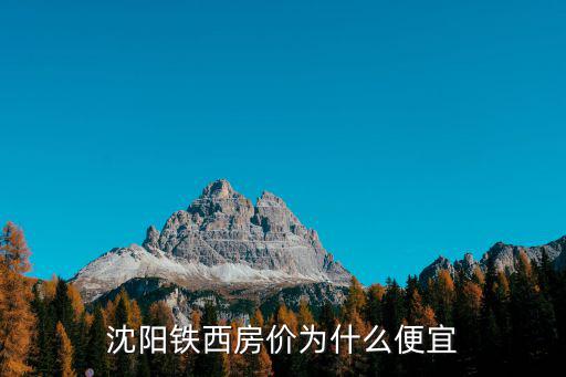 沈陽鐵西房價(jià)為什么便宜