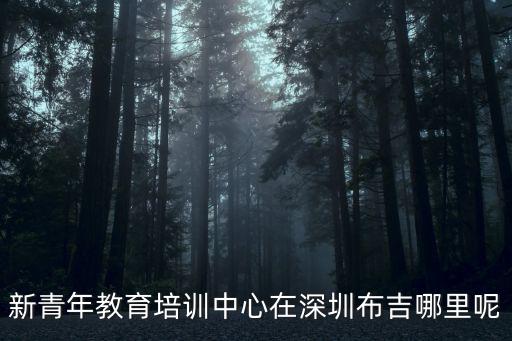 新青年教育培訓中心在深圳布吉哪里呢