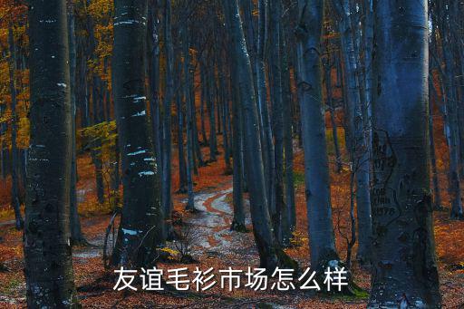 深圳友誼服裝城衣服怎樣，友誼時(shí)裝批發(fā)中心怎么樣