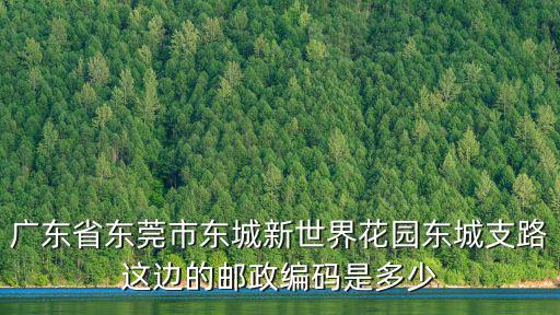 廣東省東莞市東城新世界花園東城支路這邊的郵政編碼是多少