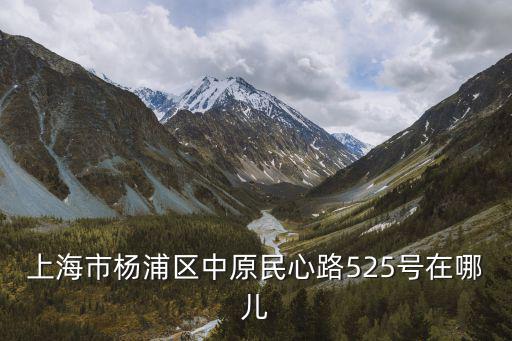 上海市高境科創實驗小學地址，22024843208這個ip地址是上海浦東新區哪個學校的