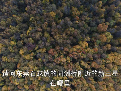 請問東莞石龍鎮的園洲橋附近的新三星在哪里
