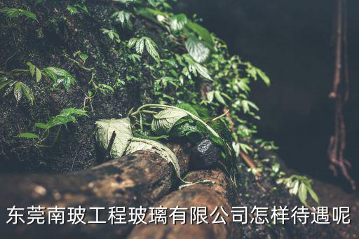 東莞南玻工程玻璃有限公司怎樣待遇呢