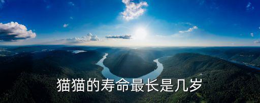 貓貓的壽命最長是幾歲