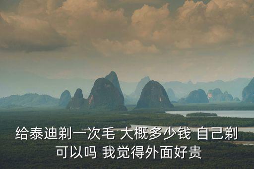 給泰迪剃一次毛 大概多少錢 自己剃 可以嗎 我覺得外面好貴