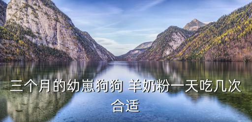 三個月的幼崽狗狗 羊奶粉一天吃幾次合適
