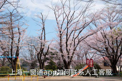 上海一窗通app如何聯系人工客服